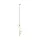 ZUMA LINE MEDAL ARCTURUS P0574-05E-F7AA 5XG9