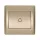 RHYME DOORBELL SWITCH CHAMPAGNE METAL