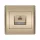 RHYME COMPUTER NETWORK SOCKET (CAT6e) CHAMPAGNE METAL