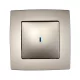 CITY SINGLE-BUTTON ONE-WAY SWITCH WITH INDICATOR LIGHT CHAMPAGNE METAL
