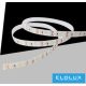 UNIVERSO Double row LED strip DC:24V 2835-240D 16w-1850lm/meter 3000k IP20 10mm x 10 meters 3 years