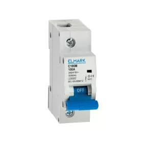 SMALL CIRCUIT BREAKER C100M 1P 100A CURVE С