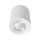 FLCOM LED SPOTLIGHT FOR SURFACES 30W 230V 4000K 60° WHITE