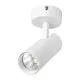 TLOM COB RAIL LIGHT 30W 4000K 24° WHITE