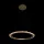 CORONA LED MEDALLION 20W 3000K 460MM, GOLD, GOLD
