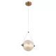 SPLENDOR LED PENDANT LAMP 6W 3000K, BRASS + COGNAC GLASS