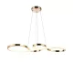 TINA LED MEDALLION 35W 3000K, FRENCH GOLD
