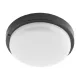 LED CEILING LAMP 15W 4000K IP54 BLACK