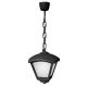 DARIO 250 GARDEN PENDANT LAMP 1XE27 IP55 BLACK
