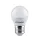 LED GLOBE BULB G45 6W E27 230V WARM WHITE