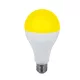 LED BULB PEAR, COLORED A60 8W IP20