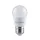 LED Bulb GLOBE G45 8W E27 230V 6400K 110lm/W