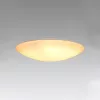 ELDLUX AGARICUS ceiling lamp 30W CCT white