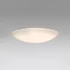 ELDLUX AGARICUS ceiling lamp 30W CCT white