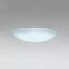ELDLUX AGARICUS ceiling lamp 30W CCT white