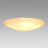 ELDLUX AGARICUS ceiling lamp 80W CCT white