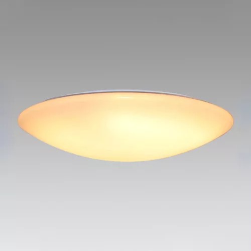 ELDLUX AGARICUS ceiling lamp 80W CCT white