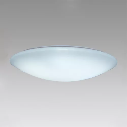 ELDLUX AGARICUS ceiling lamp 80W CCT white