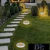 UNIVERSO Underwater lamp LED AC/DC-12/24v 1w 90lm 3000k 30° IP68 steel Ø42-Ø38x90mm
