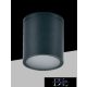 UNIVERSO Outdoor spotlight 1xGU10 max.10w IP54 black D90x94mm 5 years