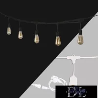 Party light strings
